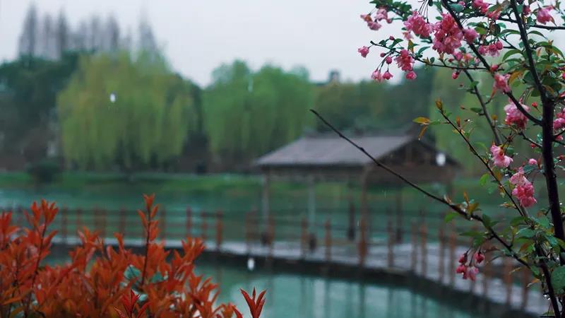 1616459262761427.jpg 微信圖片_20210323082018.jpg