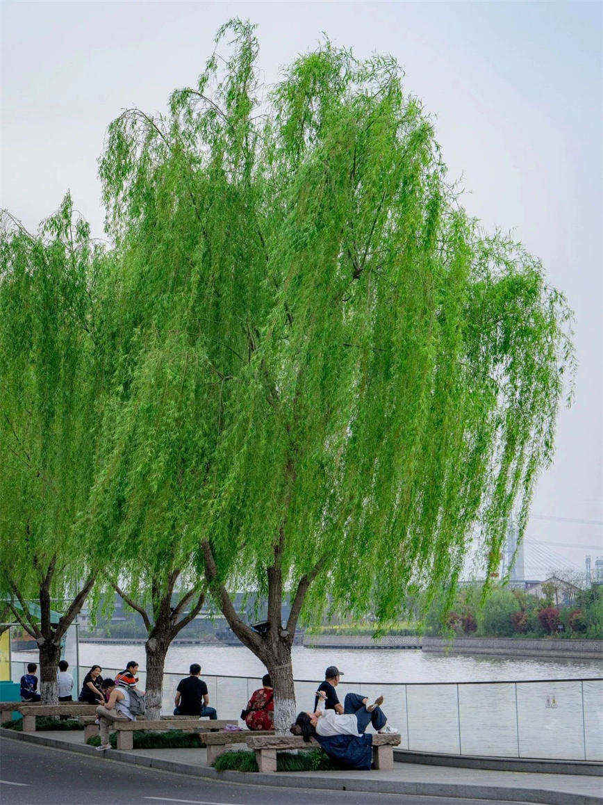 微信圖片_20250415135701.jpg