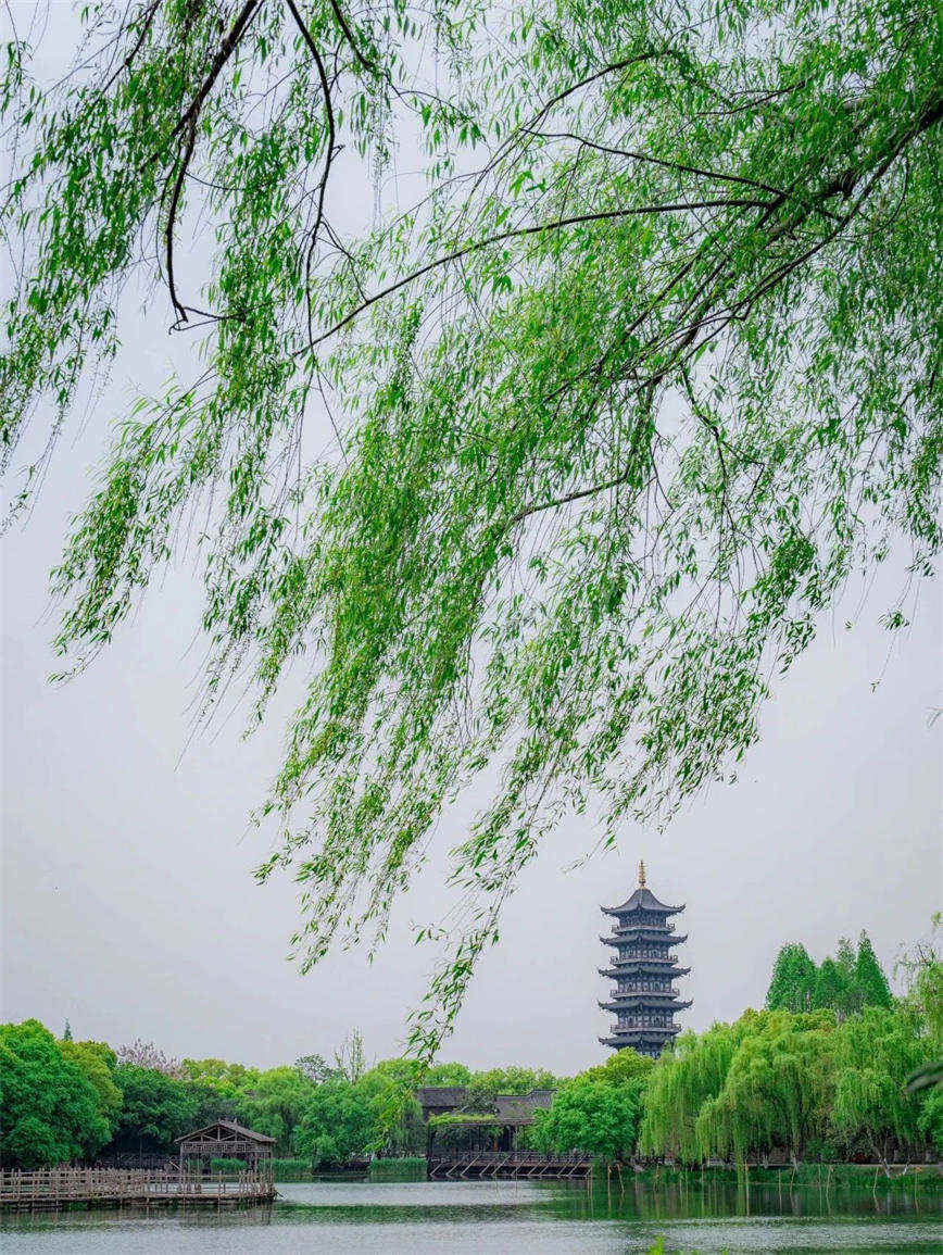 微信圖片_20250415135705.jpg