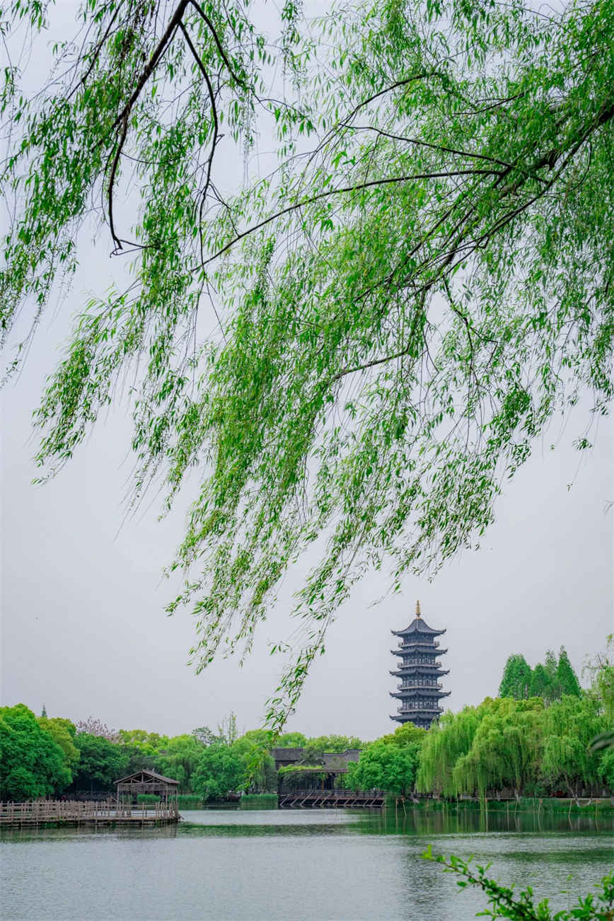 微信圖片_20250524084946.jpg