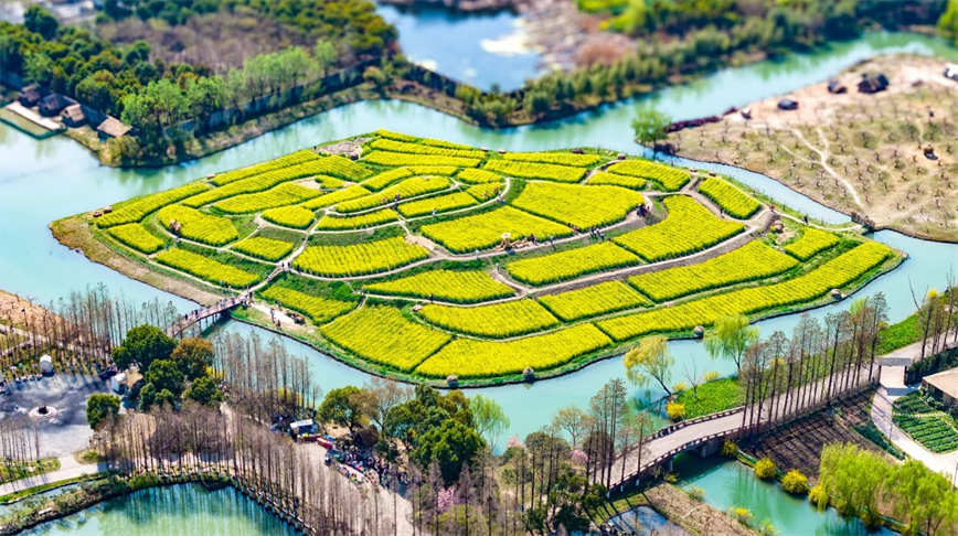 微信圖片_20250620083820.jpg