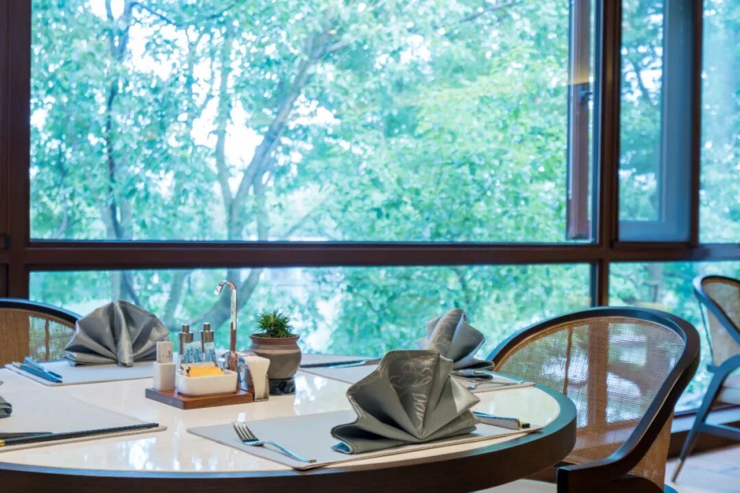 1761976274606721.jpg cy19.jpg