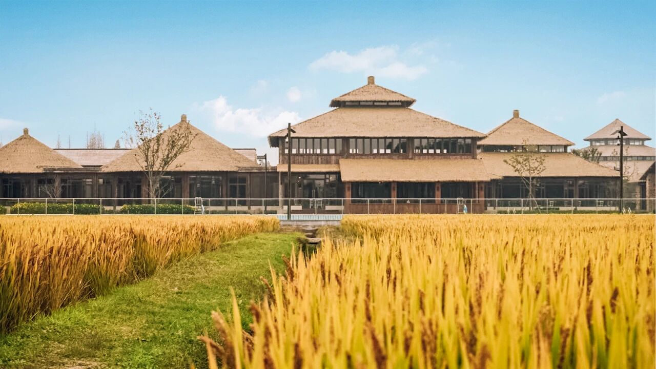 1762908600692562.jpg 4dff16d79c658cf71c419ccfa228d402.jpg