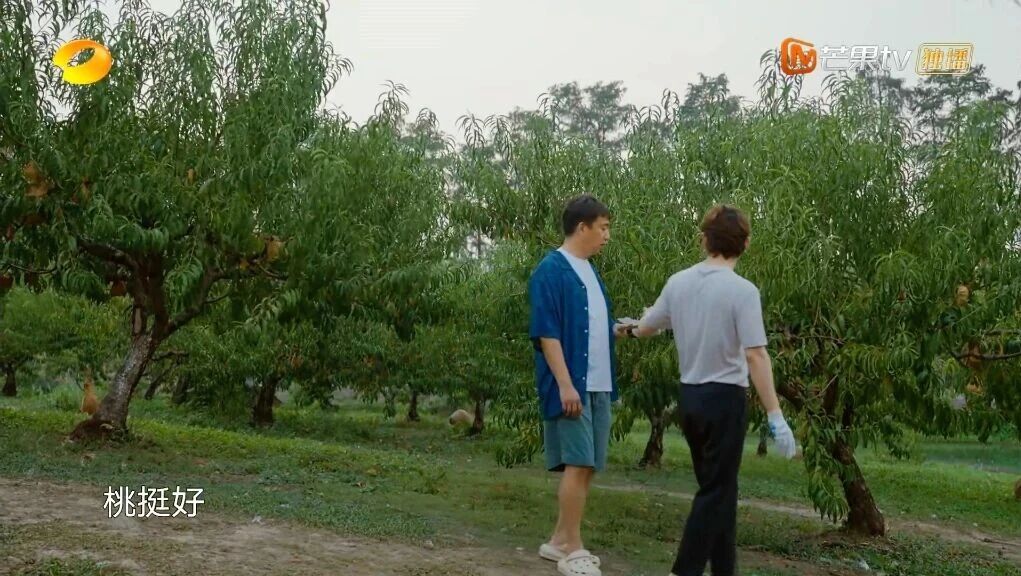 1762908699418322.jpg 407d3f73bbd8e95da72044f81f6f2729.jpg